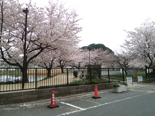 DSC_1894.JPG