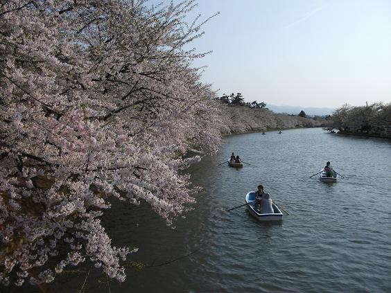 C:\fakepath\130509西濠と桜のトンネル.jpg