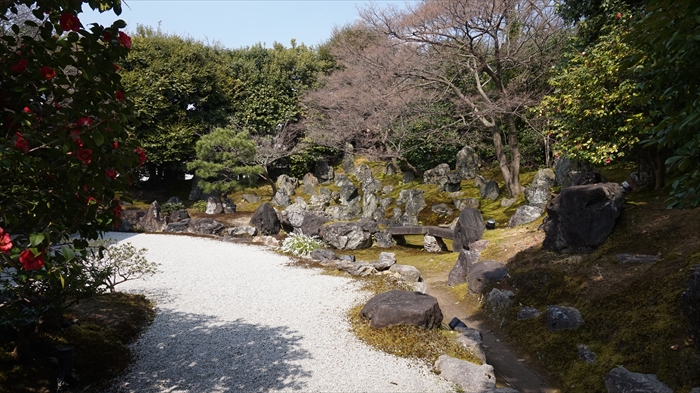 20160323 13244801.JPG