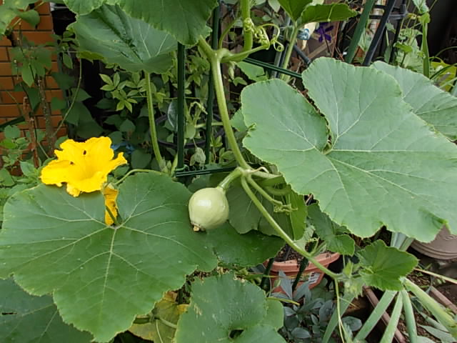 DSCN0480.JPG