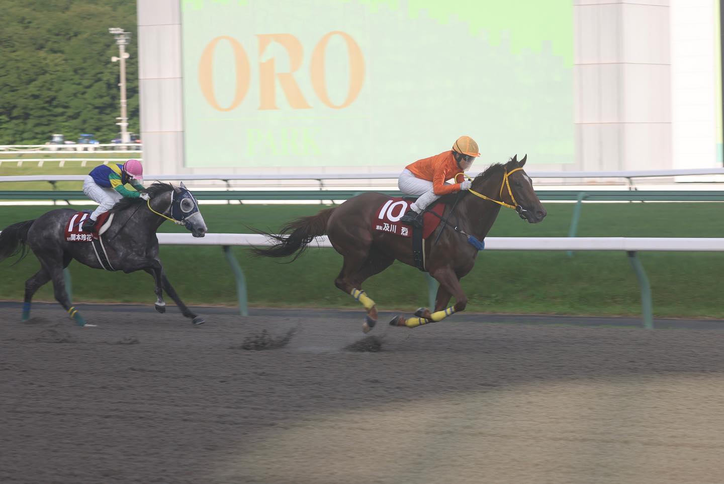 及川　玲花ワンツーａ.jpg