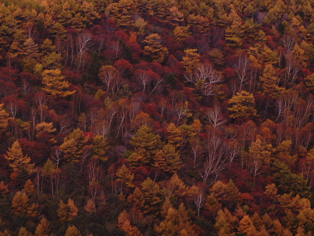 小浅間山4.jpg