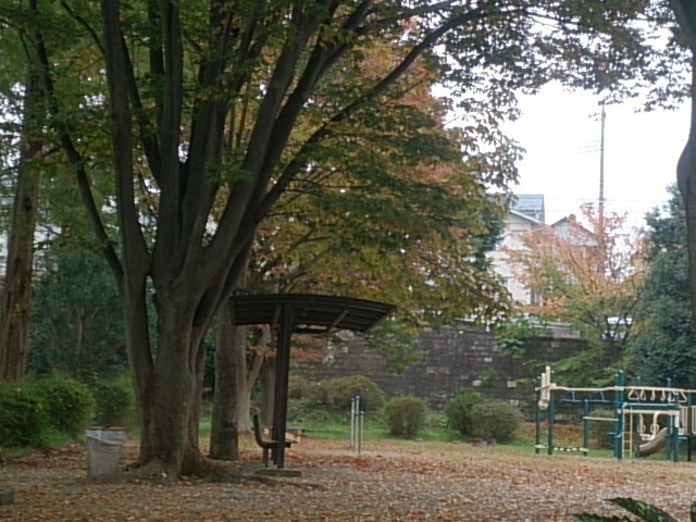 20171108  DSC_0001.jpg