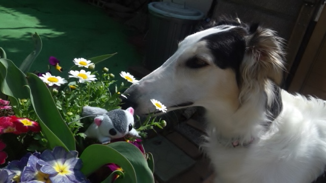 140401_100701.jpg