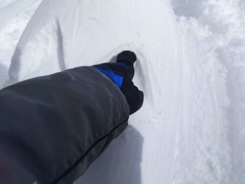250209snowfig3.jpg