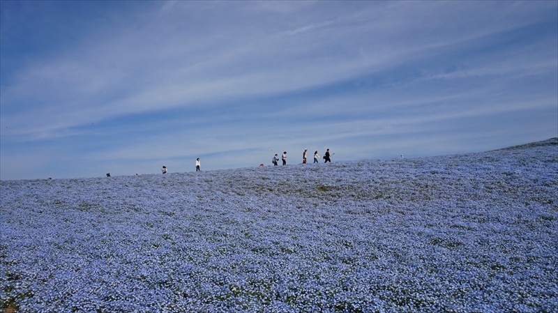 20150430 08124901.JPG