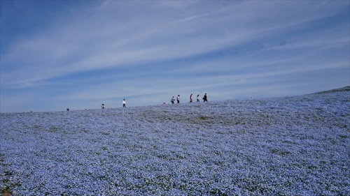 20150430 08124901.JPG