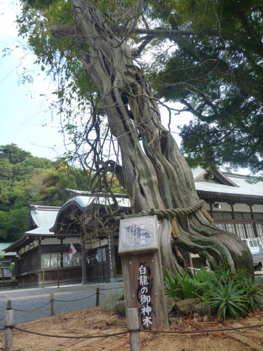 20141020 11175501.jpg