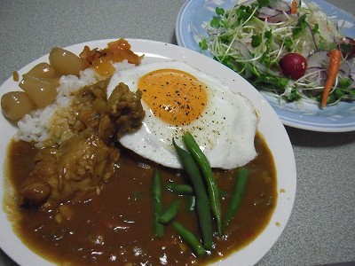 手羽元カレー.jpg