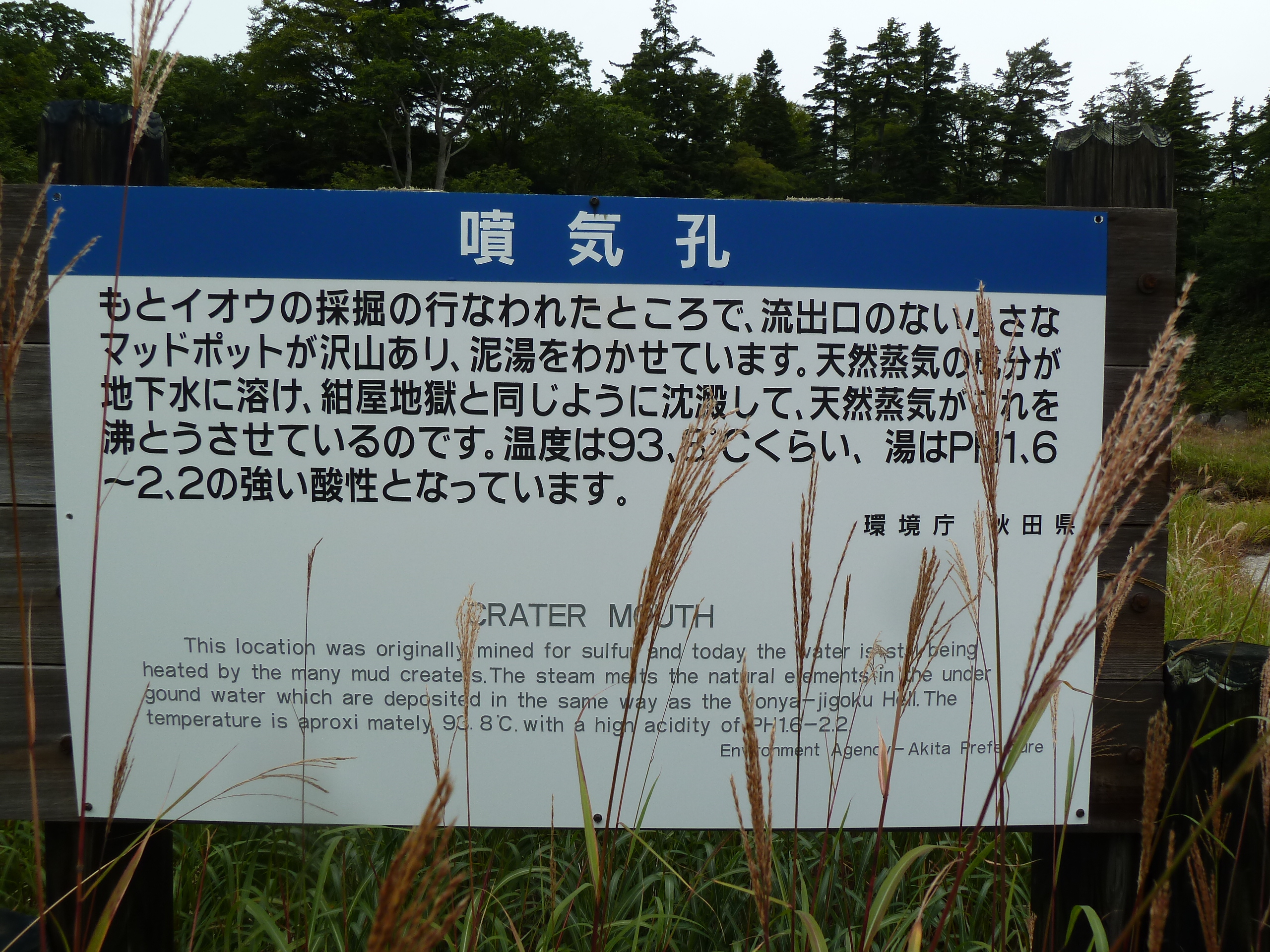 P1010385.JPG