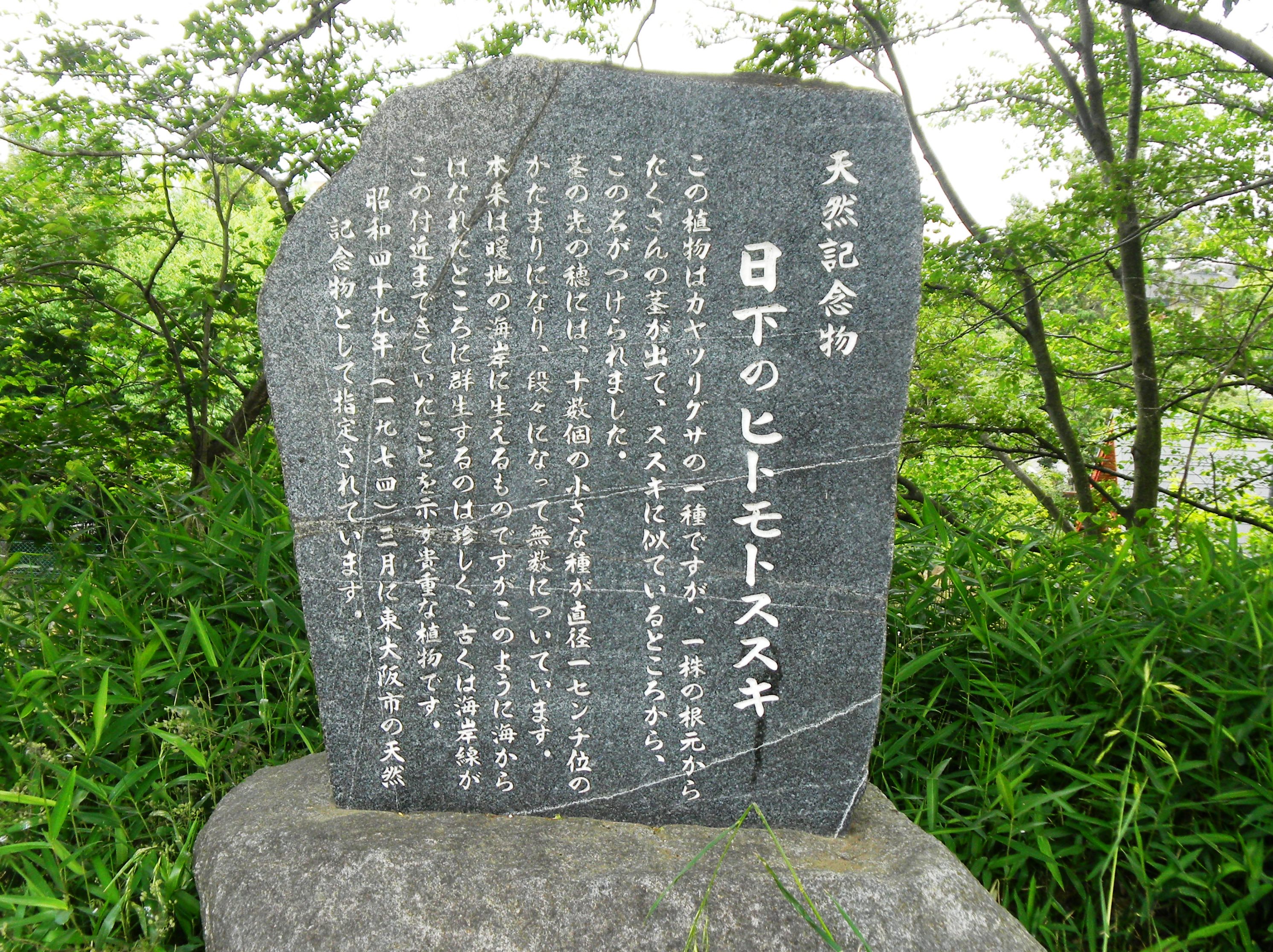 010ヒトモトススキの碑.JPG