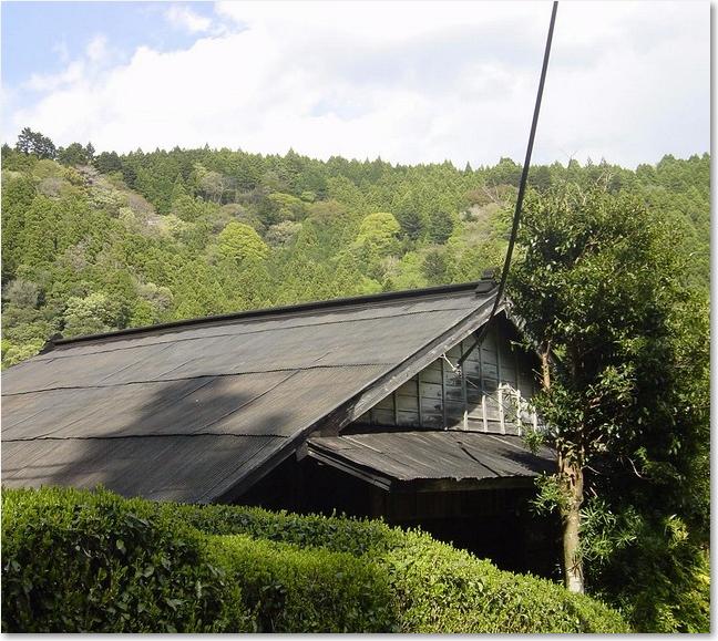62古い民家.JPG