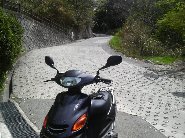 2012042111480000.JPG