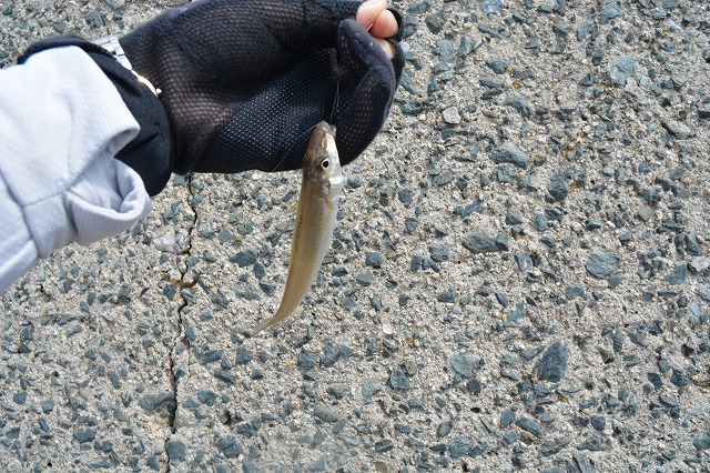 showPhoto (640×426)