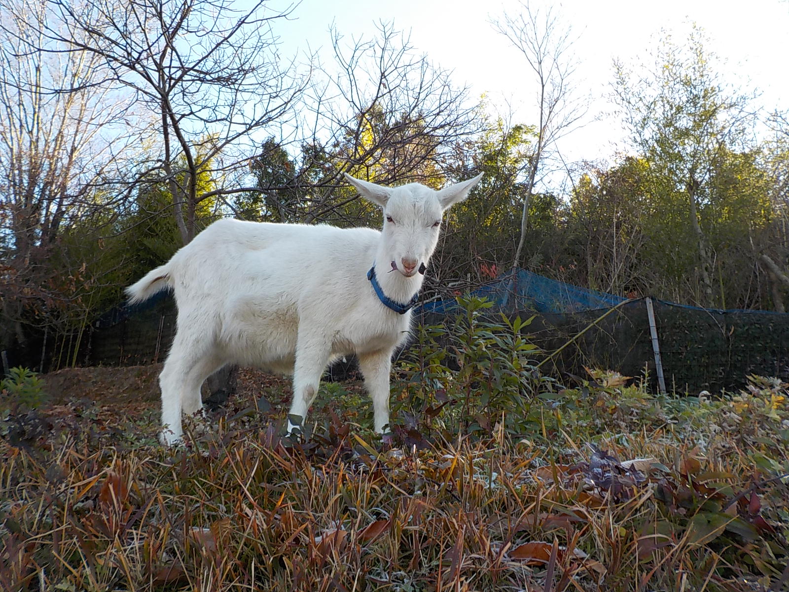 DSCN1315.JPG