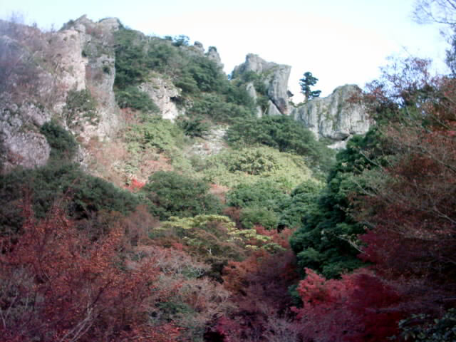 C:\fakepath\shodoshima006.jpg