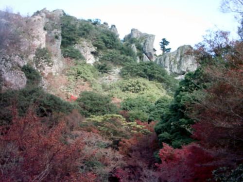 C:\fakepath\shodoshima006.jpg