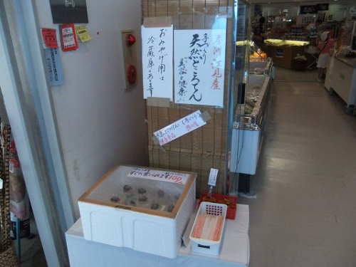 鴨川オーシャンパーク売店のところてん売り場20120821.JPG