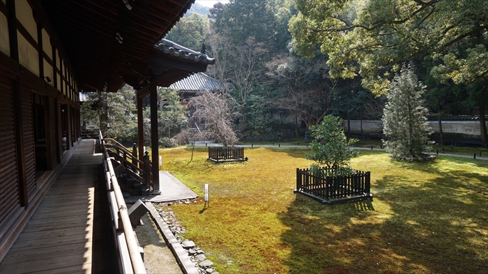 20160323 10210801.JPG