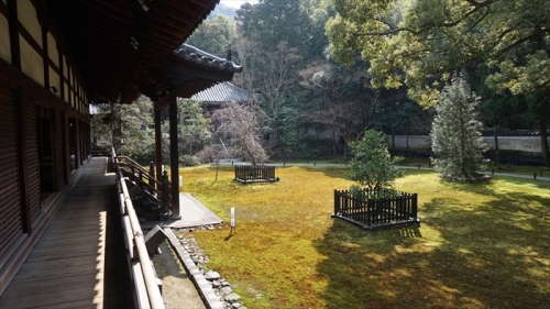 20160323 10210801.JPG