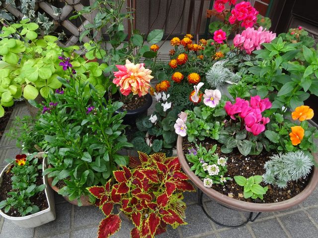 DSC00567.JPG