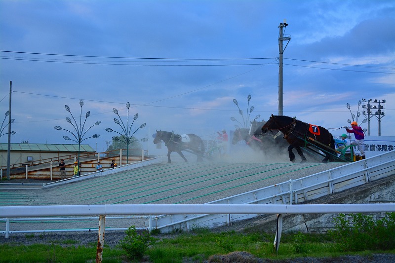 DSC_0623.jpg