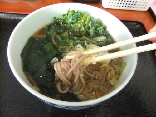 保木間３丁目・恵びすの春菊天そば