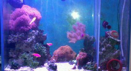 rps20130319_111541_938-1-1.jpg
