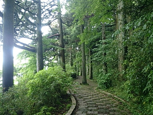 20150609  DSC_0005.jpg