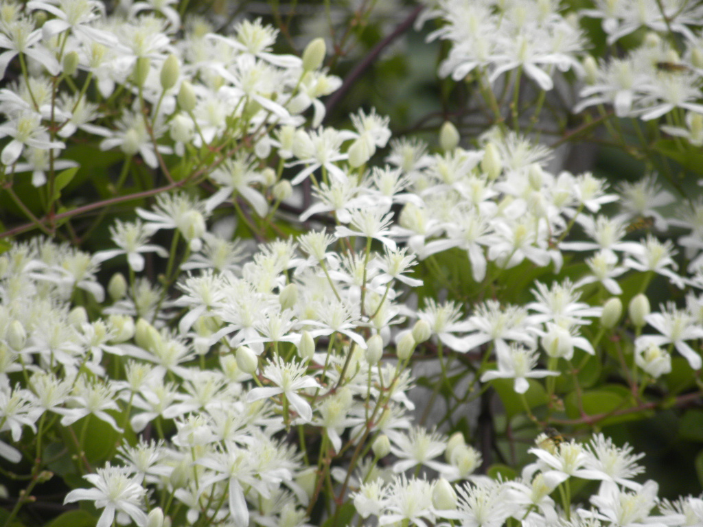 DSCN9139.JPG