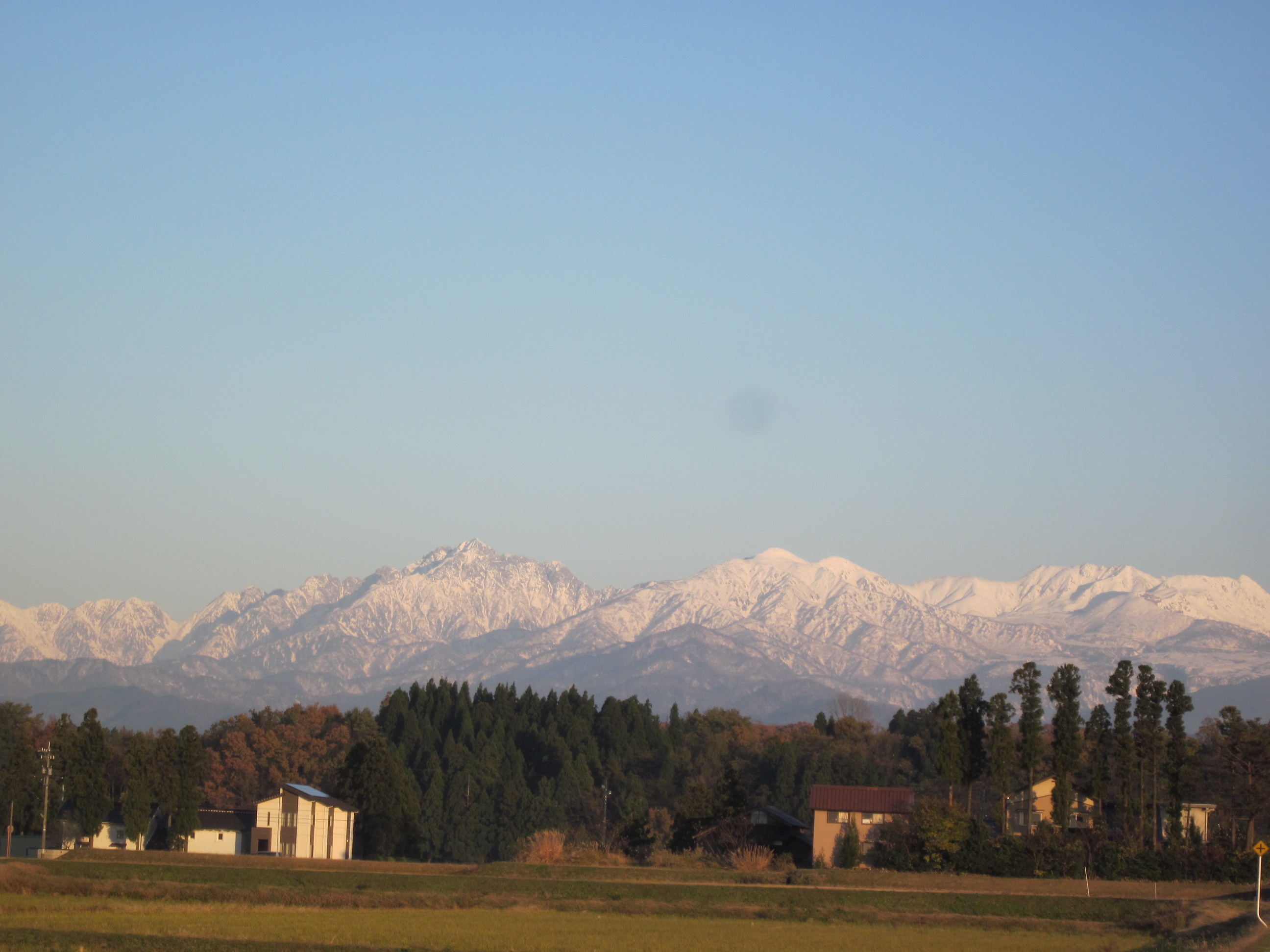IMG_4507.JPG