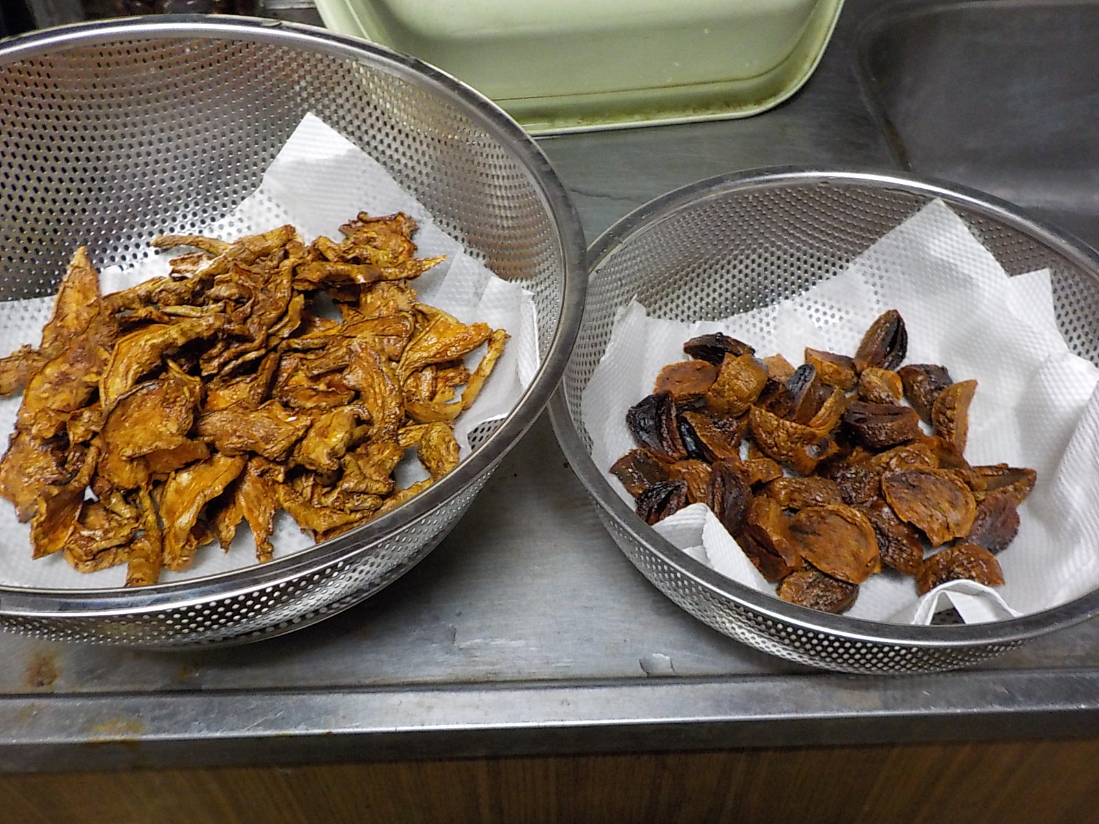 DSCN0203.JPG