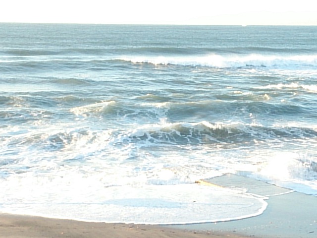 20131221  DSC_0007.jpg