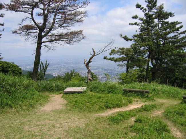 油コブシ.jpg