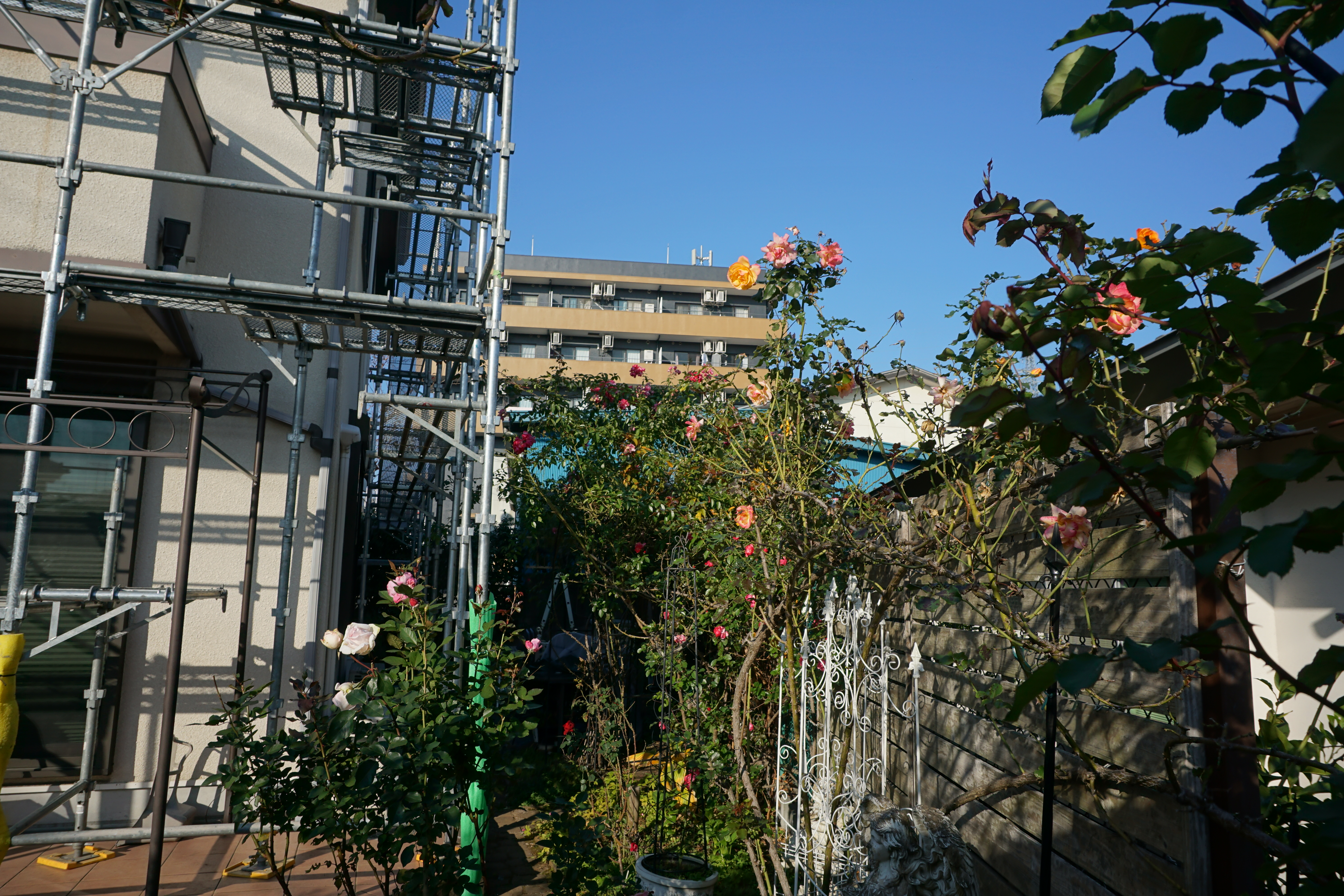 2023年11月2-7.JPG