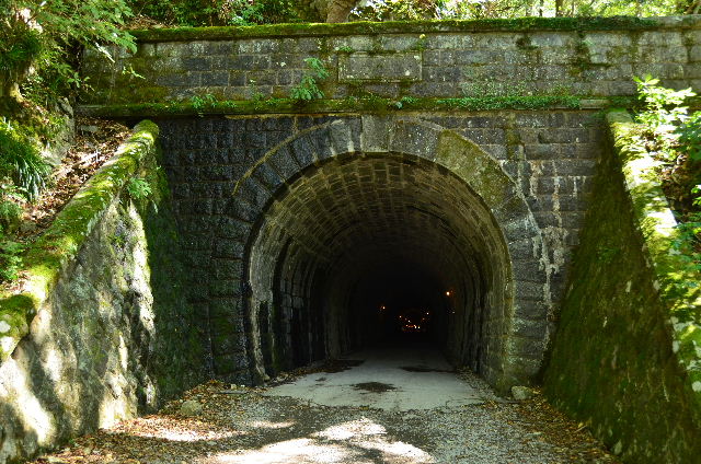 DSC_4621.JPG