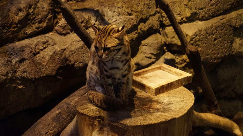 20150318 14415601.JPG