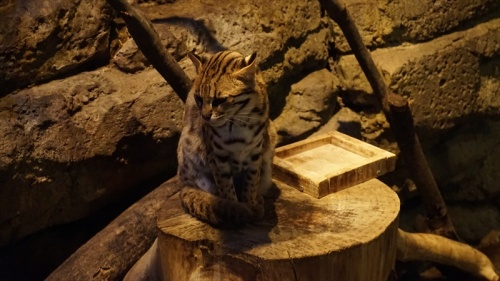 20150318 14415601.JPG