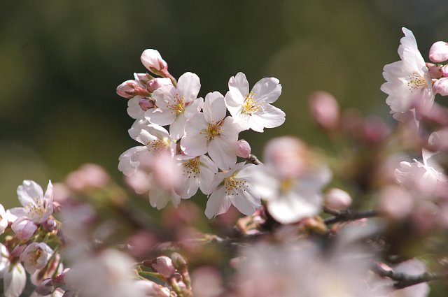 0331-3.jpg