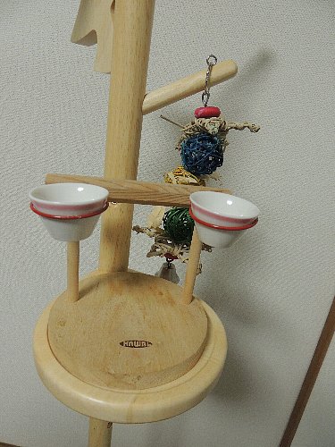 DSCN4094.JPG