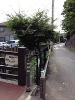 004.JPG