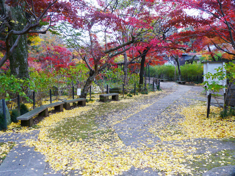 hondoji-028w.jpg