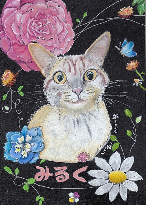 チョークアート202002122緊急連絡カードみるくちゃん.jpg