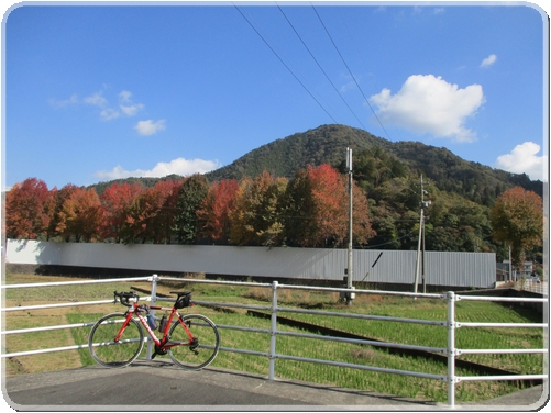 3507一松寺_3507.jpg