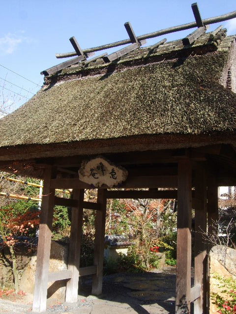 DSCF5614.JPG
