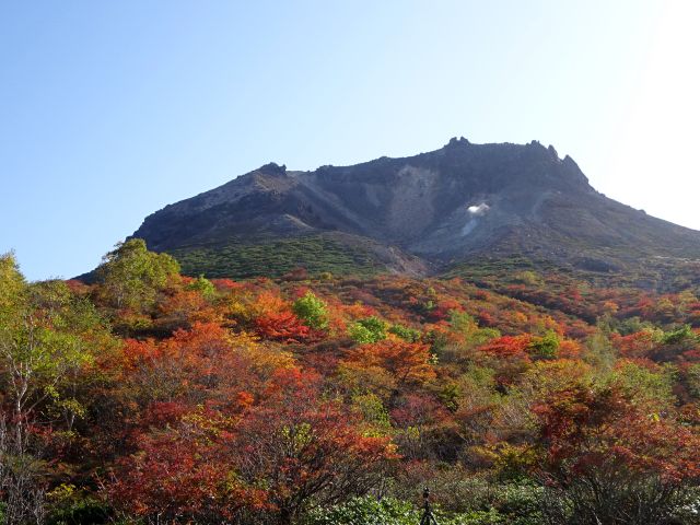 211004chausudake.jpg