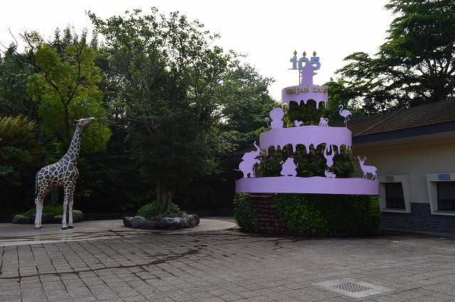 DSC_0125.jpg