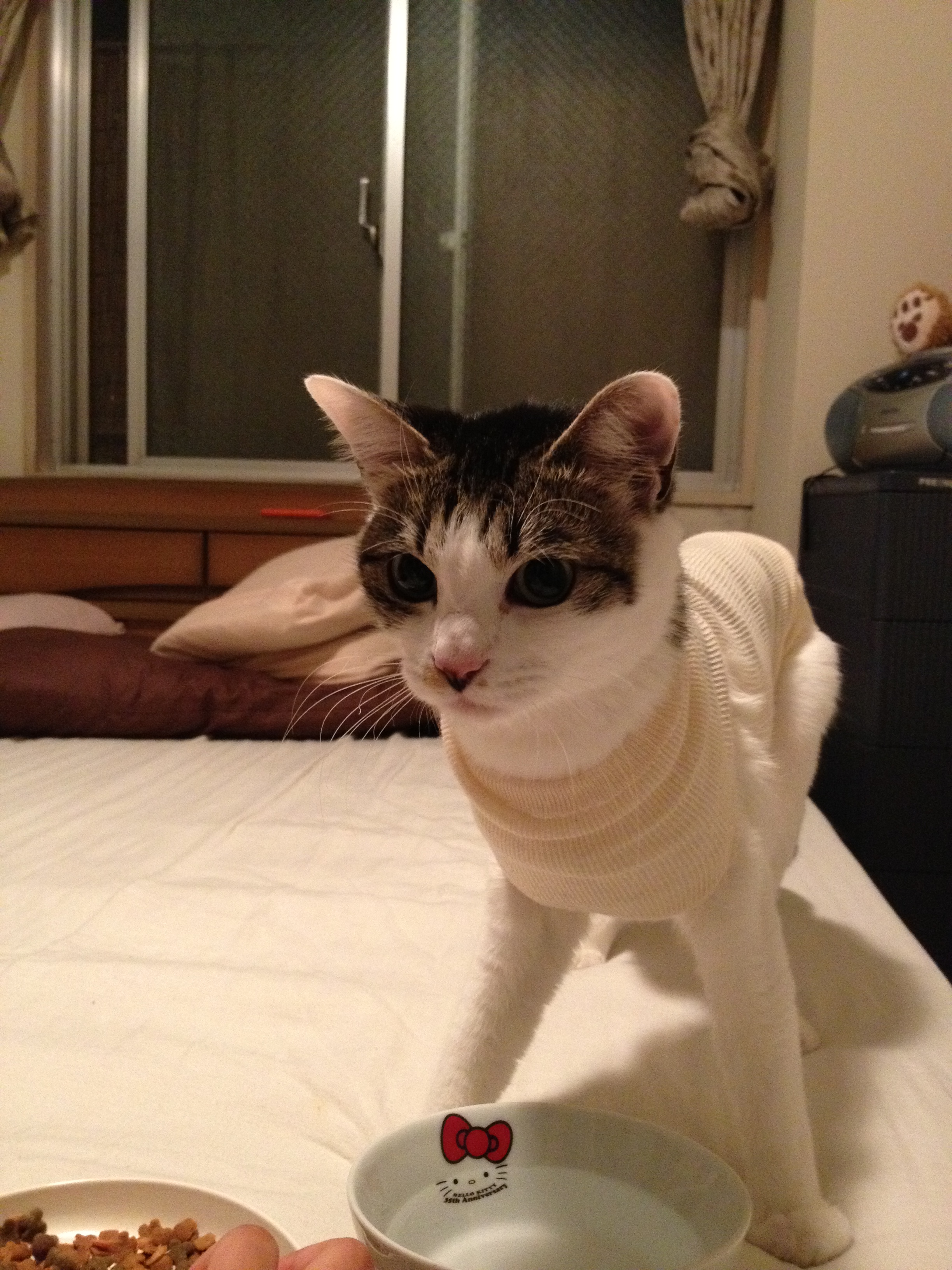 アルバムNO1 001.JPG