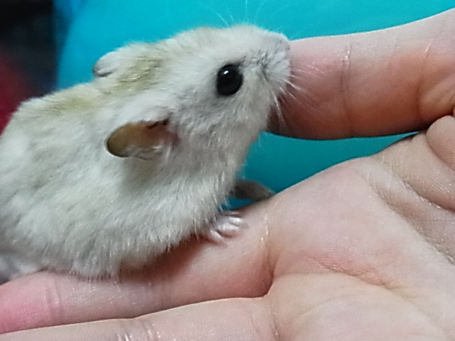 2014_07270088.JPG