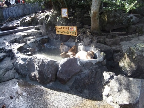 伊豆シャボテン公園３